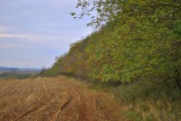 /album/kurta-kratina-pr/marcel-3-117-jpg1/